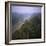 Morning Mists in Rio Negro Region of Amazon Rainforest, Amazonas State, Brazil, South America-Geoff Renner-Framed Photographic Print