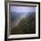 Morning Mists in Rio Negro Region of Amazon Rainforest, Amazonas State, Brazil, South America-Geoff Renner-Framed Photographic Print