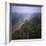 Morning Mists in Rio Negro Region of Amazon Rainforest, Amazonas State, Brazil, South America-Geoff Renner-Framed Photographic Print