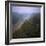 Morning Mists in Rio Negro Region of Amazon Rainforest, Amazonas State, Brazil, South America-Geoff Renner-Framed Photographic Print