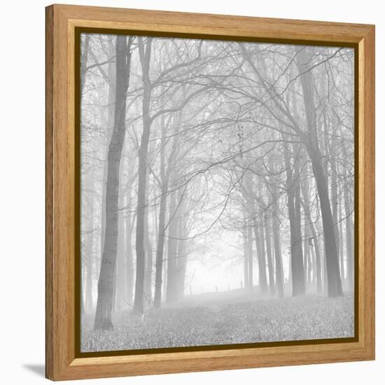 Morning Mists Iv-Doug Chinnery-Framed Premier Image Canvas