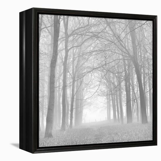 Morning Mists Iv-Doug Chinnery-Framed Premier Image Canvas