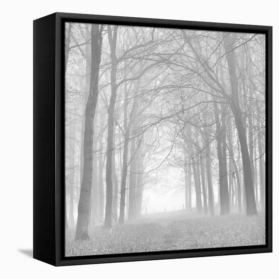 Morning Mists Iv-Doug Chinnery-Framed Premier Image Canvas