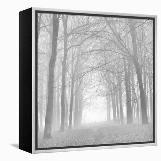Morning Mists Iv-Doug Chinnery-Framed Premier Image Canvas
