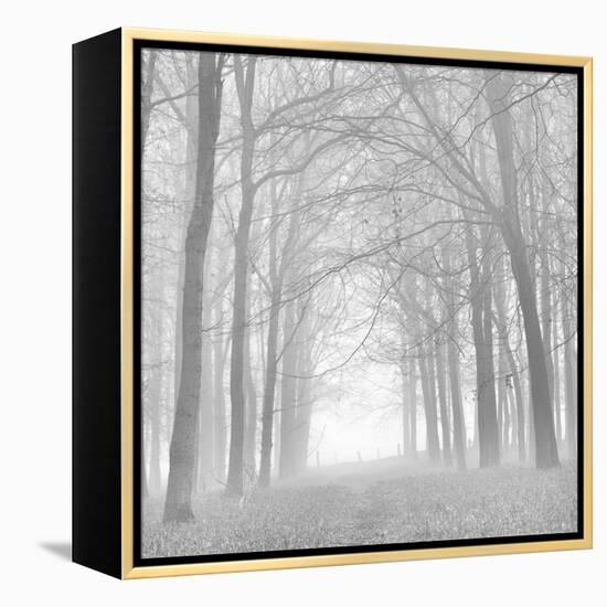 Morning Mists Iv-Doug Chinnery-Framed Premier Image Canvas