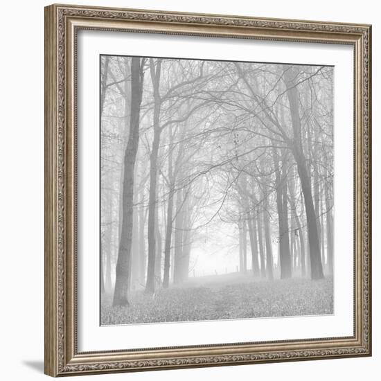 Morning Mists Iv-Doug Chinnery-Framed Photographic Print