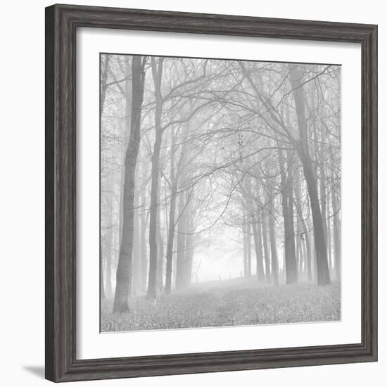 Morning Mists Iv-Doug Chinnery-Framed Photographic Print