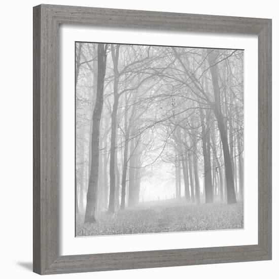 Morning Mists Iv-Doug Chinnery-Framed Photographic Print