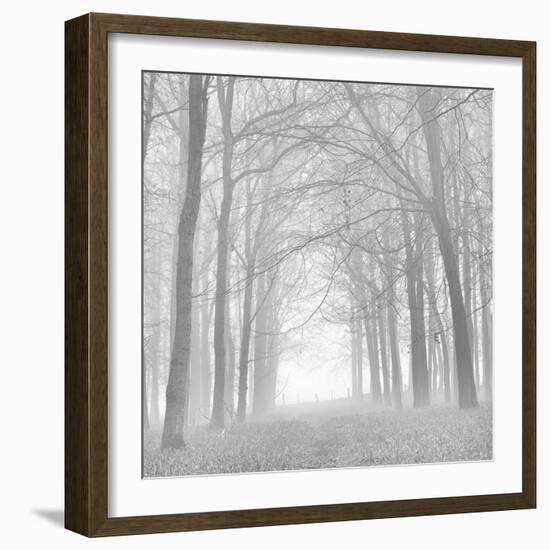 Morning Mists Iv-Doug Chinnery-Framed Photographic Print