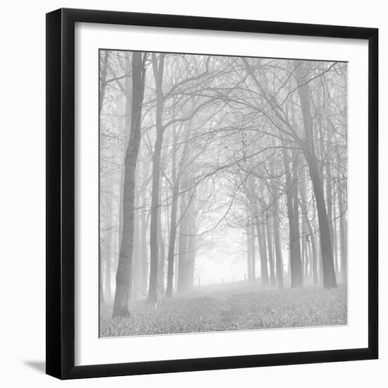 Morning Mists Iv-Doug Chinnery-Framed Photographic Print