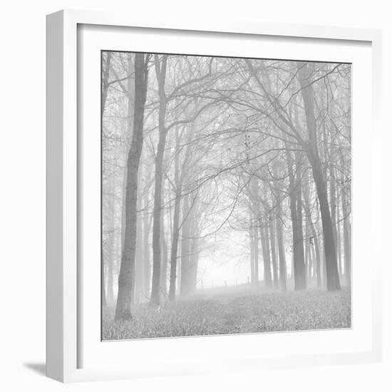 Morning Mists Iv-Doug Chinnery-Framed Photographic Print