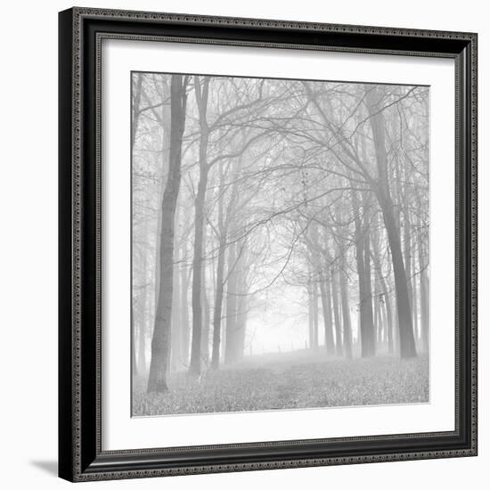 Morning Mists Iv-Doug Chinnery-Framed Photographic Print