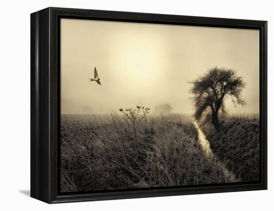 Morning Mood-Kent Mathiesen-Framed Premier Image Canvas