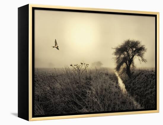 Morning Mood-Kent Mathiesen-Framed Premier Image Canvas