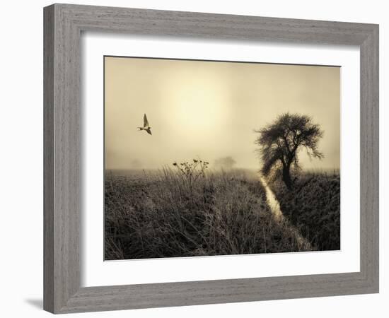 Morning Mood-Kent Mathiesen-Framed Photographic Print