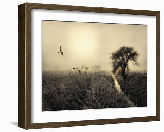 Morning Mood-Kent Mathiesen-Framed Photographic Print