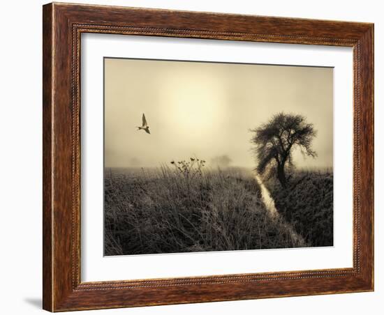 Morning Mood-Kent Mathiesen-Framed Photographic Print