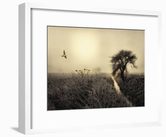 Morning Mood-Kent Mathiesen-Framed Photographic Print