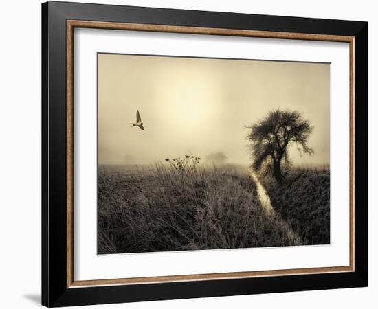 Morning Mood-Kent Mathiesen-Framed Photographic Print