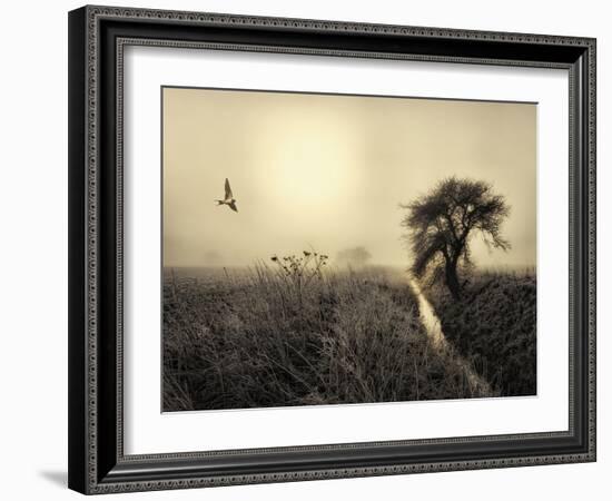 Morning Mood-Kent Mathiesen-Framed Photographic Print