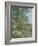 Morning Near the Loing; Matin Pres Du Loing, 1879-Alfred Sisley-Framed Giclee Print