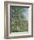 Morning Near the Loing; Matin Pres Du Loing, 1879-Alfred Sisley-Framed Giclee Print