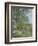 Morning Near the Loing; Matin Pres Du Loing, 1879-Alfred Sisley-Framed Giclee Print