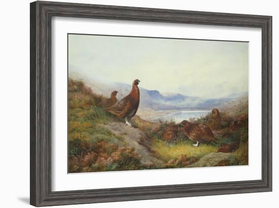 Morning of the Twelfth-Archibald Thorburn-Framed Giclee Print