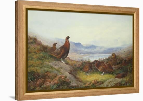 Morning of the Twelfth-Archibald Thorburn-Framed Premier Image Canvas