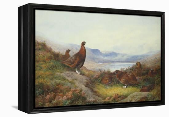 Morning of the Twelfth-Archibald Thorburn-Framed Premier Image Canvas