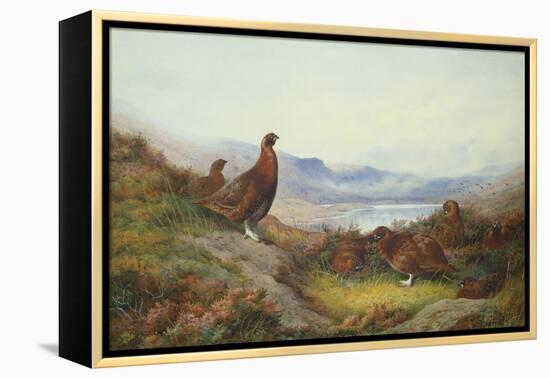 Morning of the Twelfth-Archibald Thorburn-Framed Premier Image Canvas