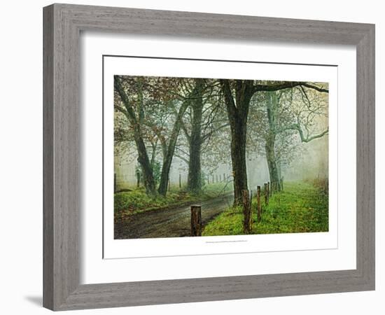 Morning on Sparks Lane IV-Danny Head-Framed Art Print