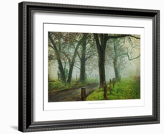 Morning on Sparks Lane IV-Danny Head-Framed Art Print