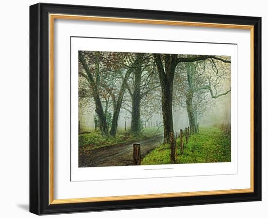 Morning on Sparks Lane IV-Danny Head-Framed Art Print