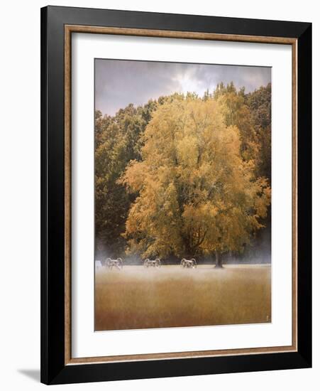 Morning on the Battlefield-Jai Johnson-Framed Giclee Print