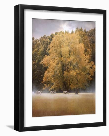 Morning on the Battlefield-Jai Johnson-Framed Giclee Print