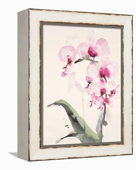 Morning Orchid 1-Karin Johannesson-Framed Stretched Canvas