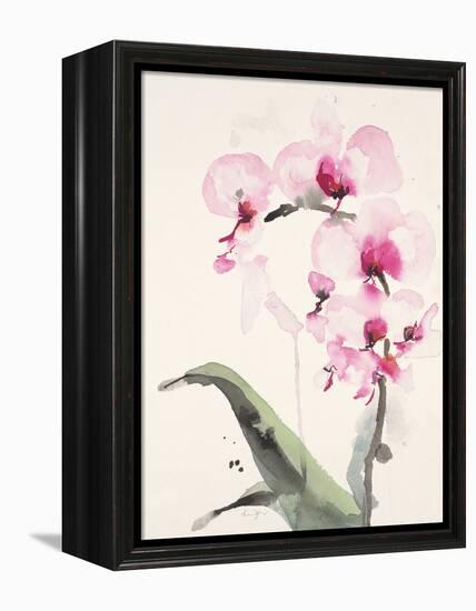 Morning Orchid 1-Karin Johannesson-Framed Stretched Canvas