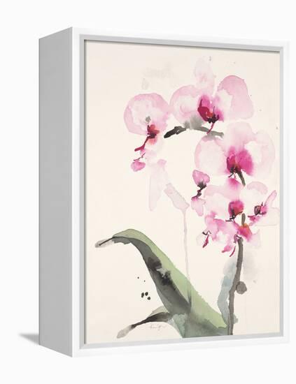 Morning Orchid 1-Karin Johannesson-Framed Stretched Canvas