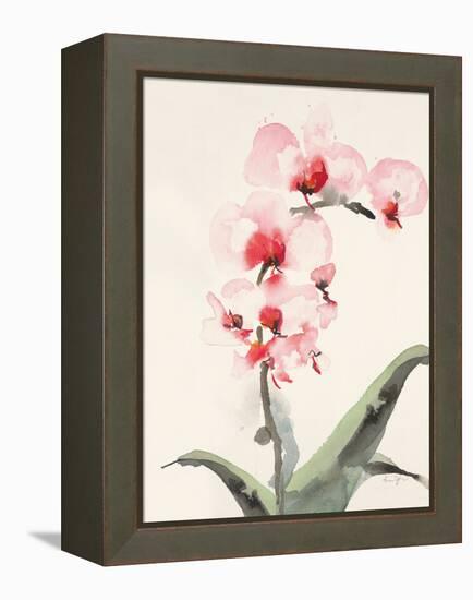 Morning Orchid 2-Karin Johannesson-Framed Stretched Canvas