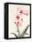 Morning Orchid 2-Karin Johannesson-Framed Stretched Canvas