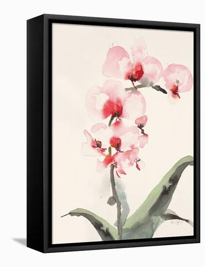 Morning Orchid 2-Karin Johannesson-Framed Stretched Canvas