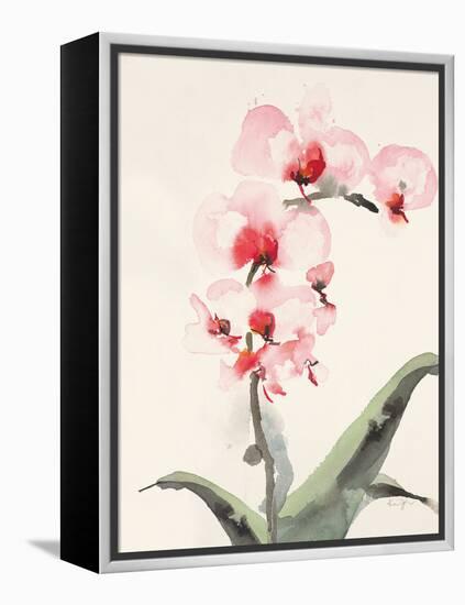 Morning Orchid 2-Karin Johannesson-Framed Stretched Canvas