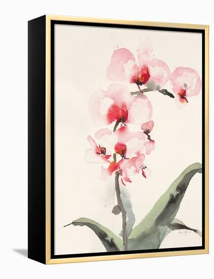 Morning Orchid 2-Karin Johannesson-Framed Stretched Canvas