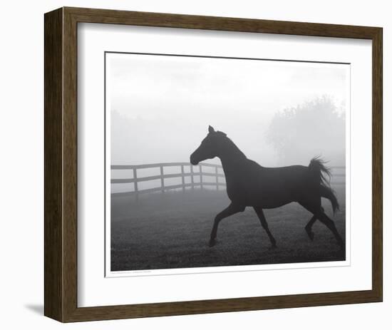 Morning Pasture II-null-Framed Art Print