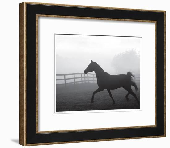 Morning Pasture II-null-Framed Art Print