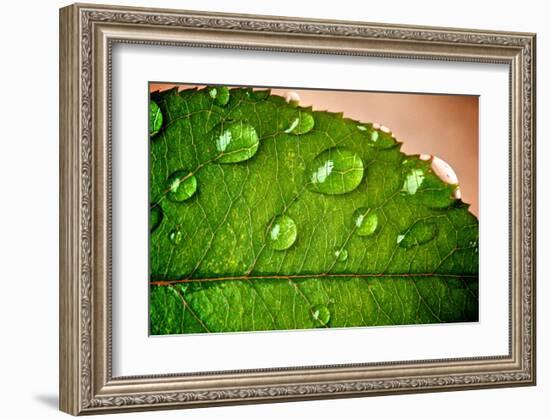 Morning Rain-Doug Nelson-Framed Art Print