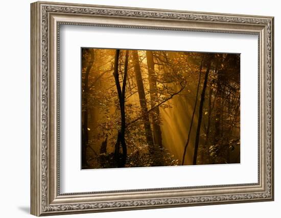 Morning Rays-Norbert Maier-Framed Photographic Print