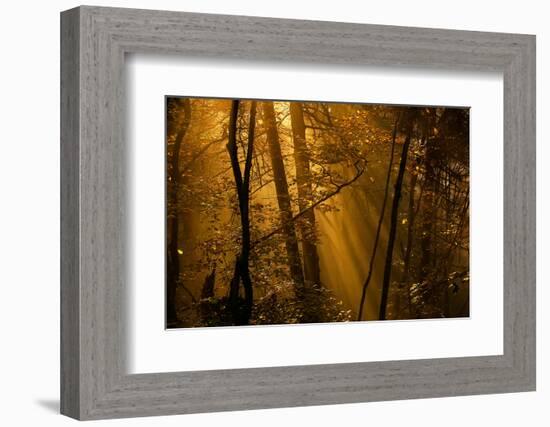 Morning Rays-Norbert Maier-Framed Photographic Print