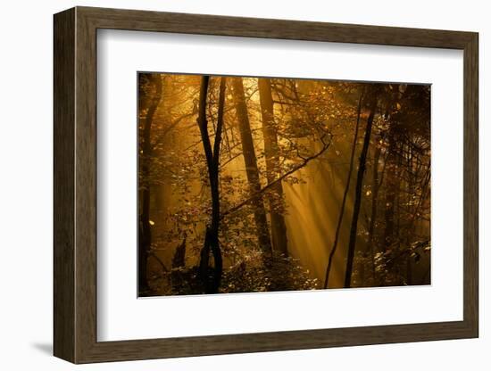 Morning Rays-Norbert Maier-Framed Photographic Print